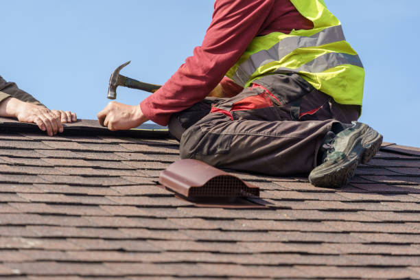 Best Roof Maintenance Services  in Buena Vista, VA