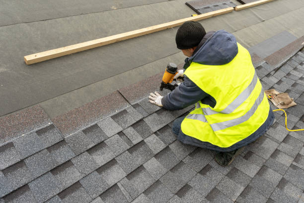 Best Roof Gutter Cleaning  in Buena Vista, VA