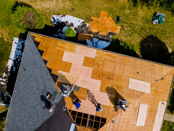 Best Shingle Roofing Installation  in Buena Vista, VA