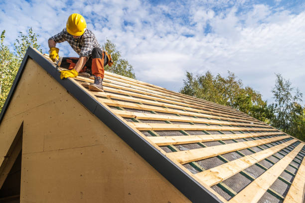 Best Gutter Installation and Roofing  in Buena Vista, VA