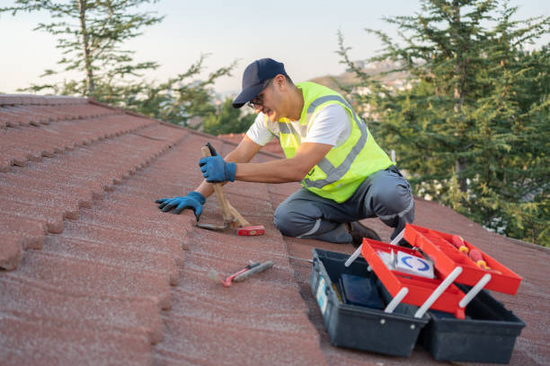 Best Emergency Roof Repair  in Buena Vista, VA